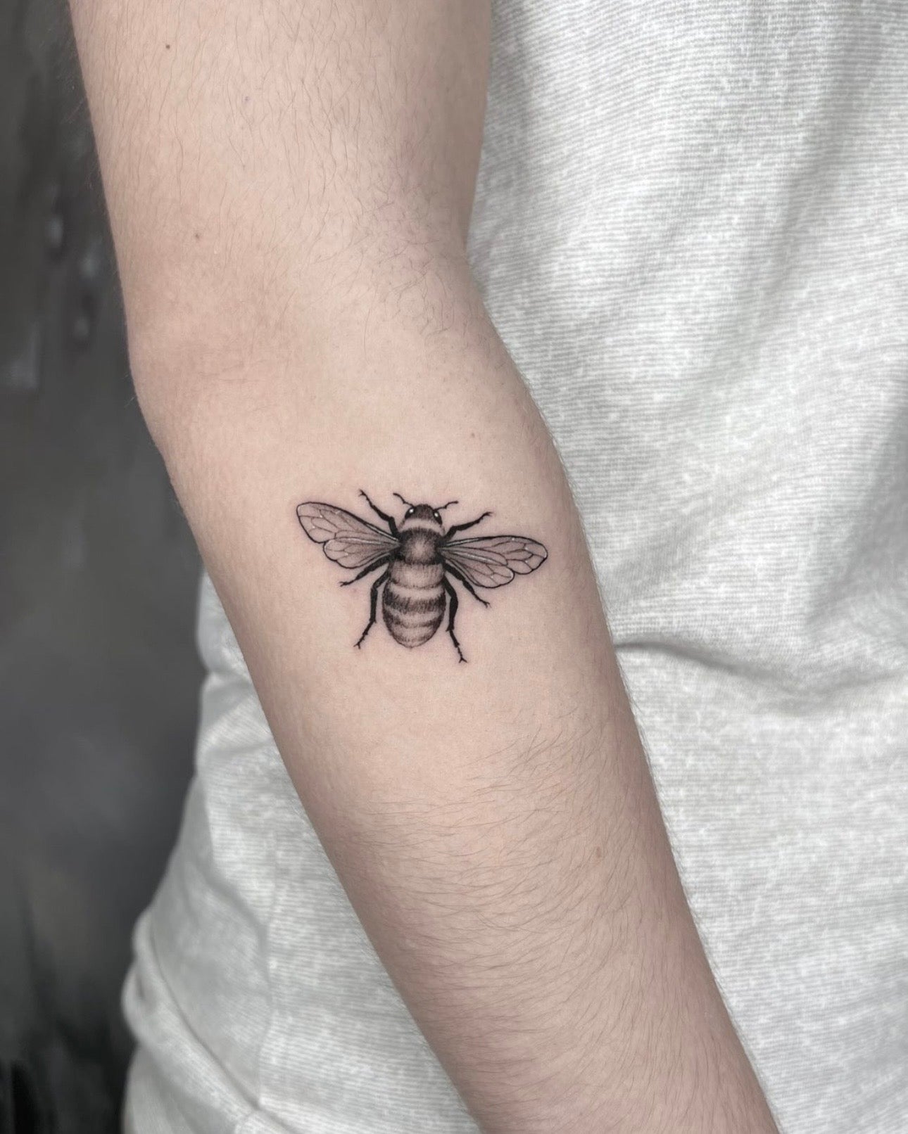 Tatuagem fine line de abelha com detalhe delicado no braço, estilo ilustração botânica minimalista, no estúdio Dilúvio em Benfica, Lisboa.