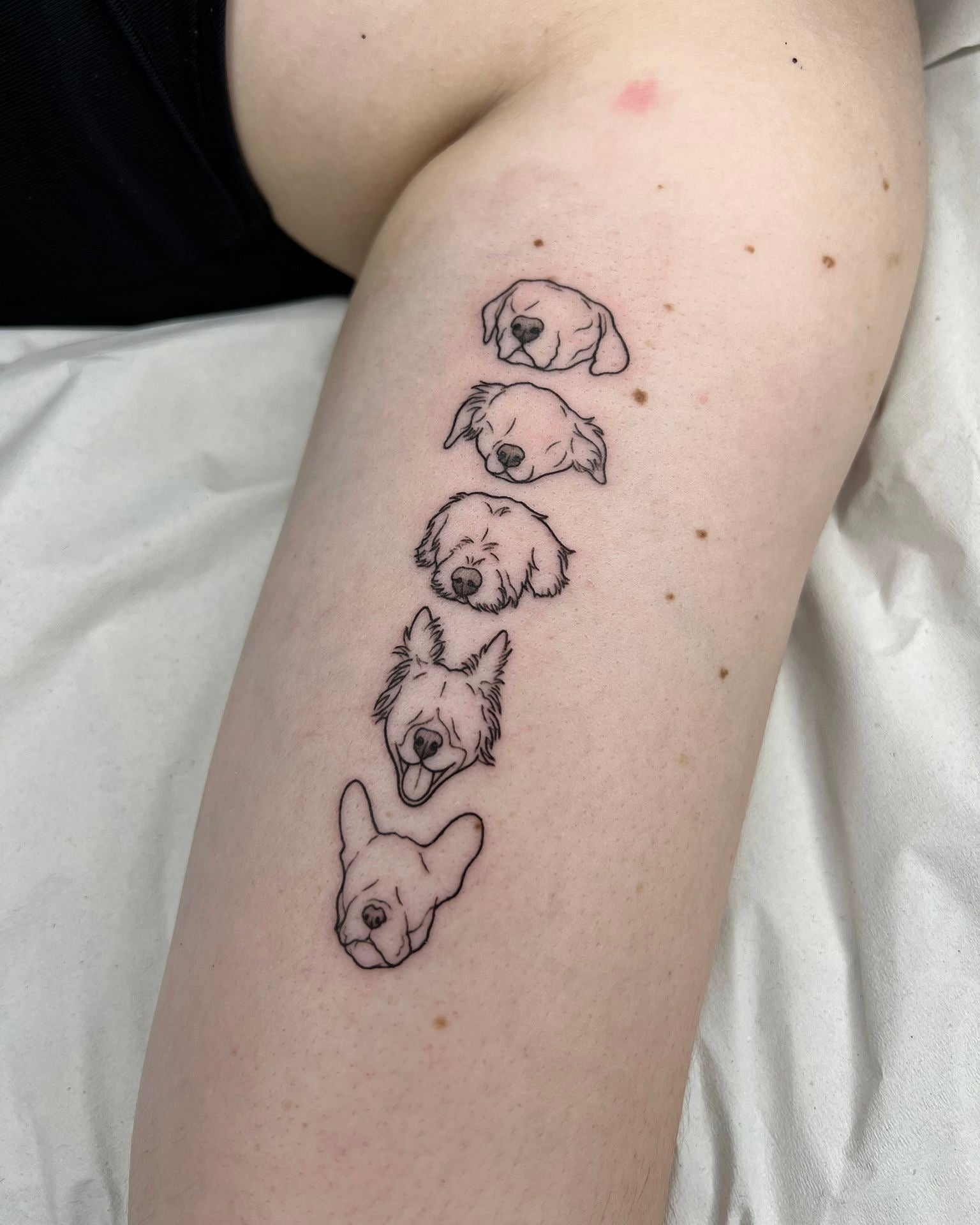 Tatuagem fine line de cinco cabeças de cães de raças diferentes em fila vertical no braço, ilustração dedicada a animais de estimação, no Dilúvio Tattoo em Benfica