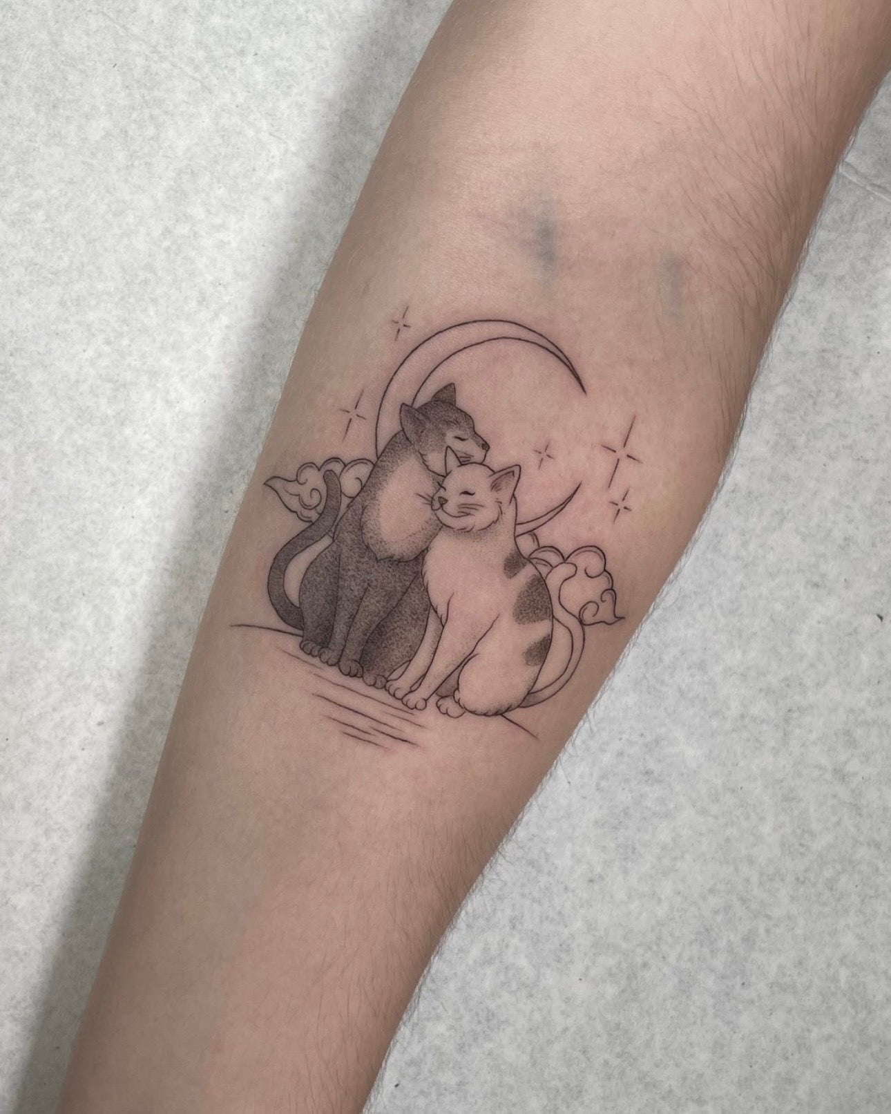 Tatuagem fine line de gatinhos abraçados com lua e estrelas no braço, estilo ilustrativo delicado, homenagem a animais de estimação, no Dilúvio Tattoo em Benfica.