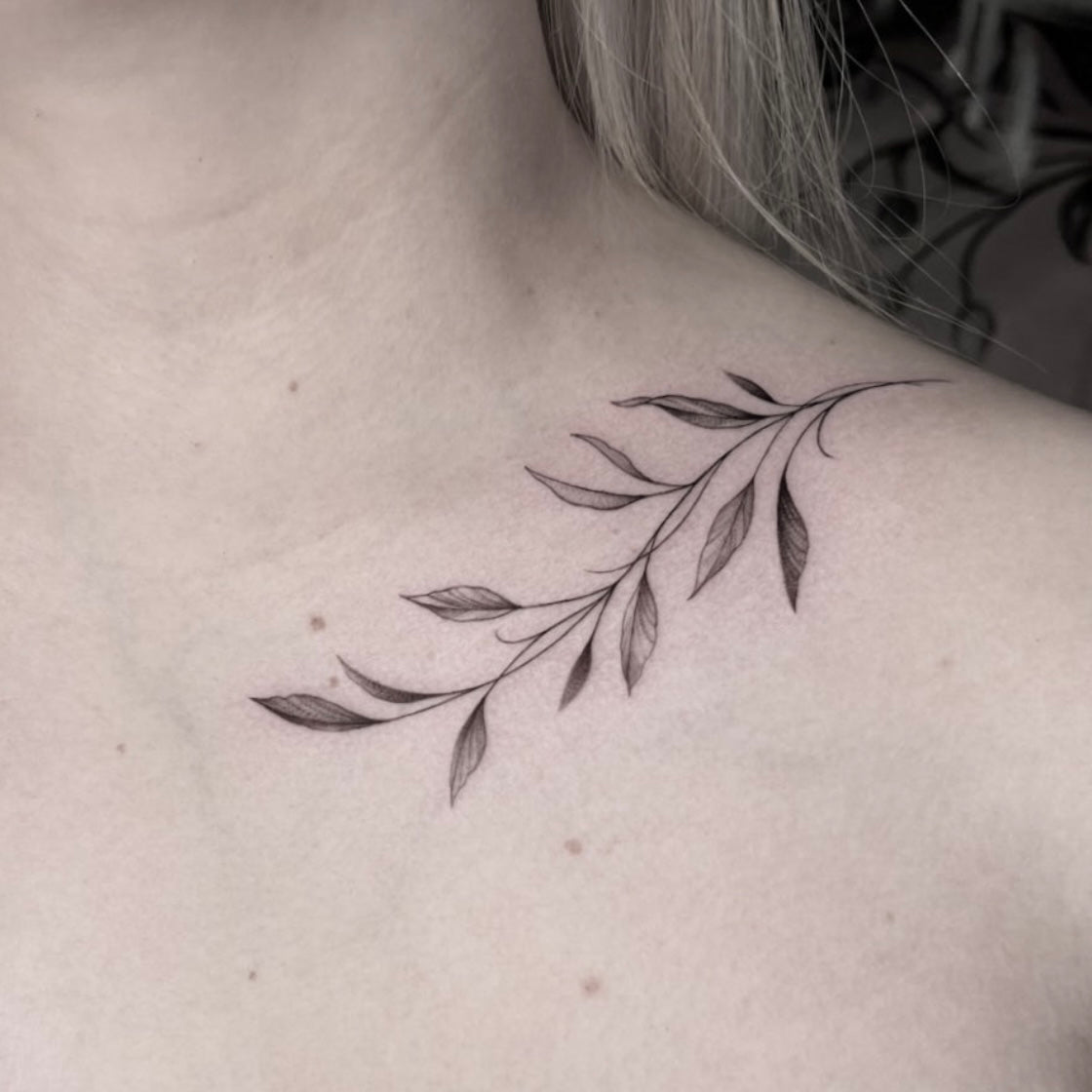 Tatuagem fine line de ramo com folhas alongadas na clavícula e ombro, estilo botânico delicado feminino, no Dilúvio Tattoo em Benfica.