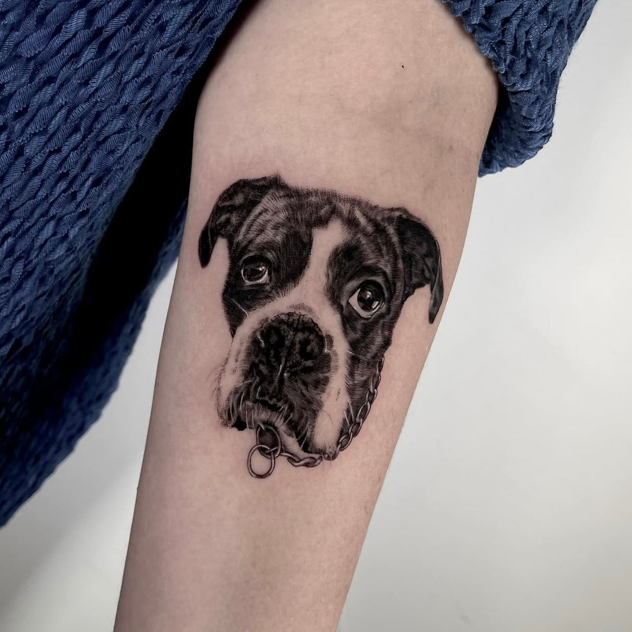 Tatuagem fine line de retrato de cão boxer com sombreado suave e coleira no braço, estilo delicado realista, homenagem a animal de estimação, naDilúvio Tattoo em Benfica.