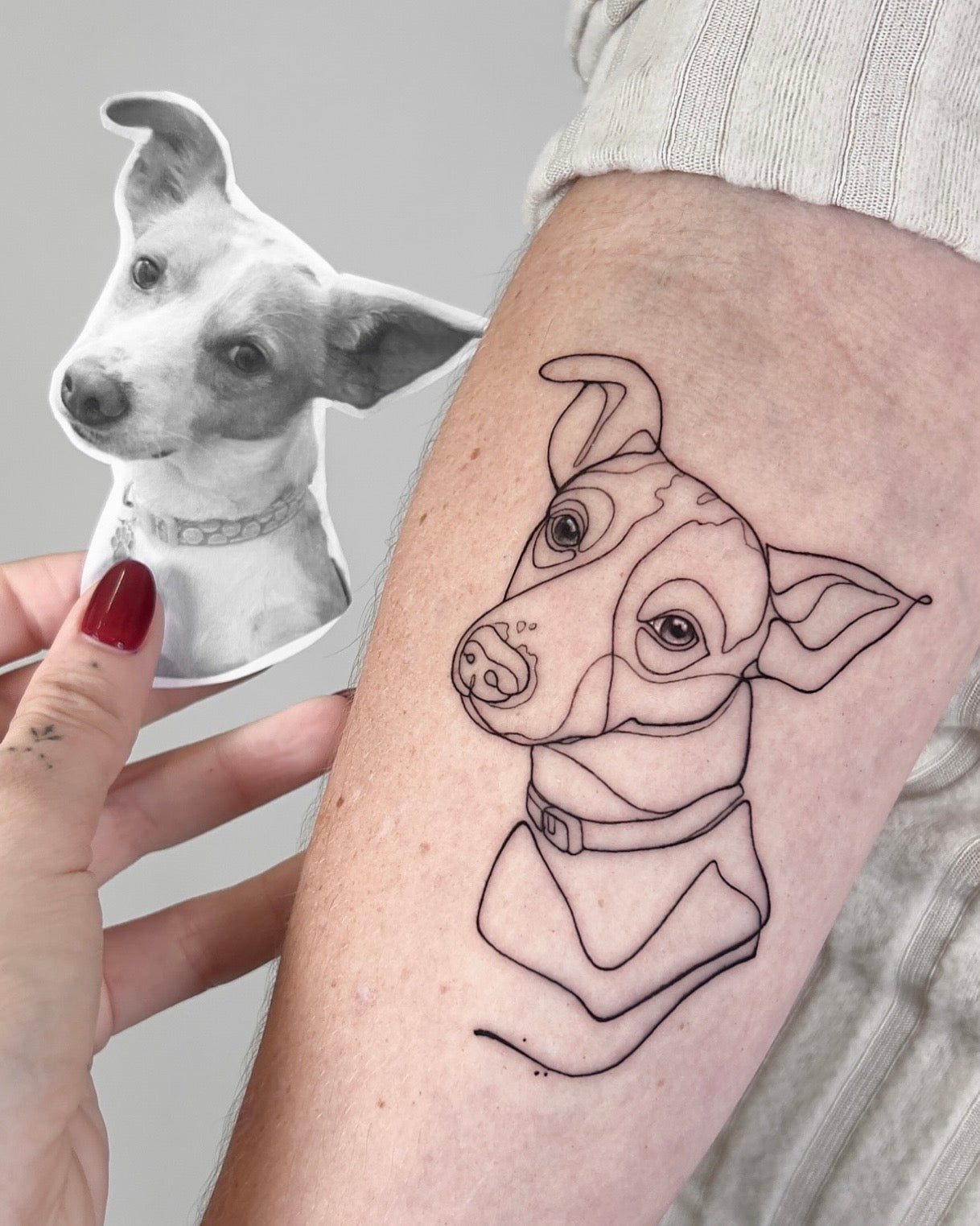 Tatuagem fine line de retrato de cão em técnica de linha contínua a partir de foto de referência no braço, estilo ilustrativo minimalista, homenagem a animal de estimação, na Dilúvio Tattoo em Benfica.
