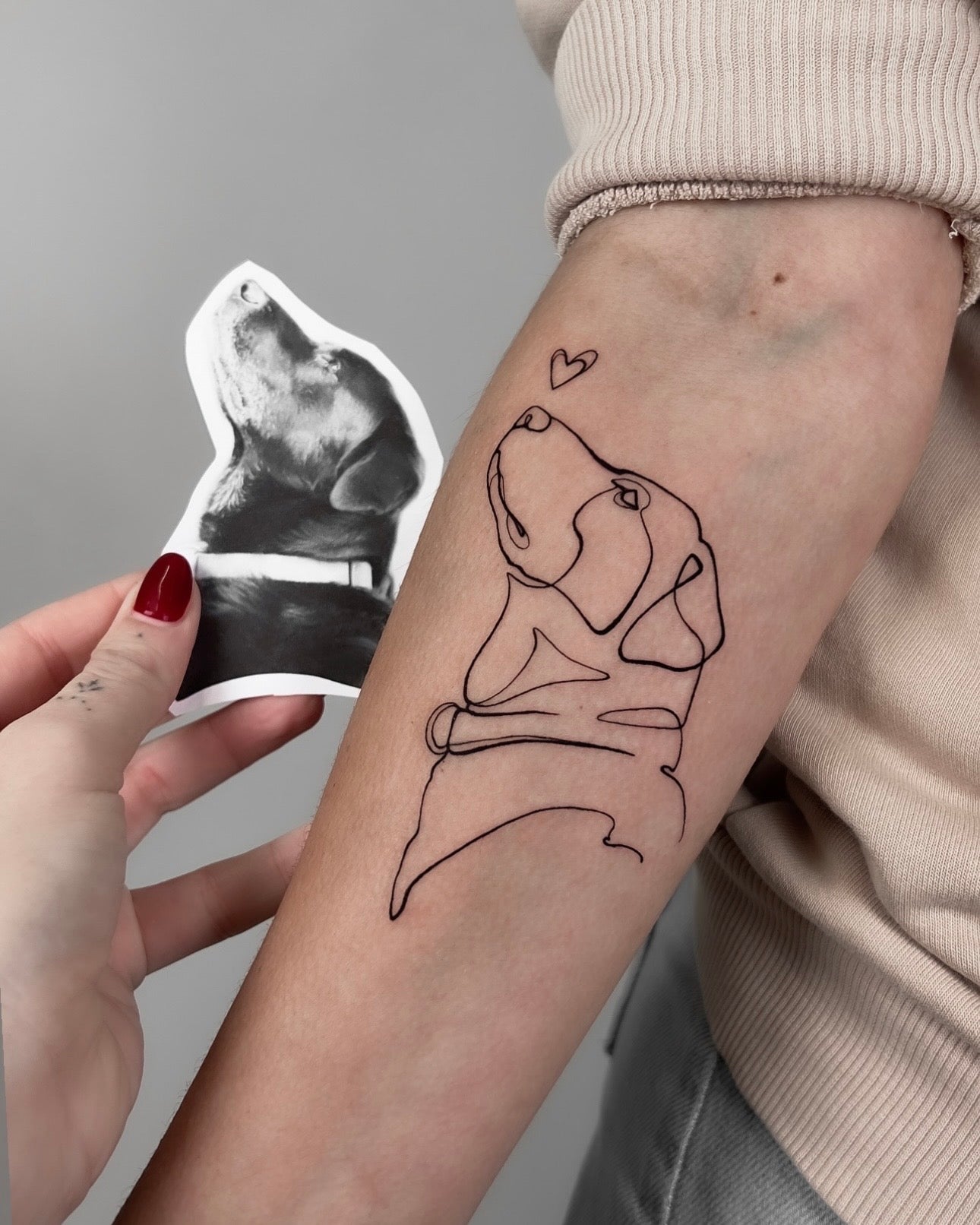 Tatuagem fine line de retrato de cão em técnica de linha contínua com pequeno coração no braço, estilo ilustrativo minimalista, homenagem a animal de estimação, na Dilúvio Tattoo em Benfica.