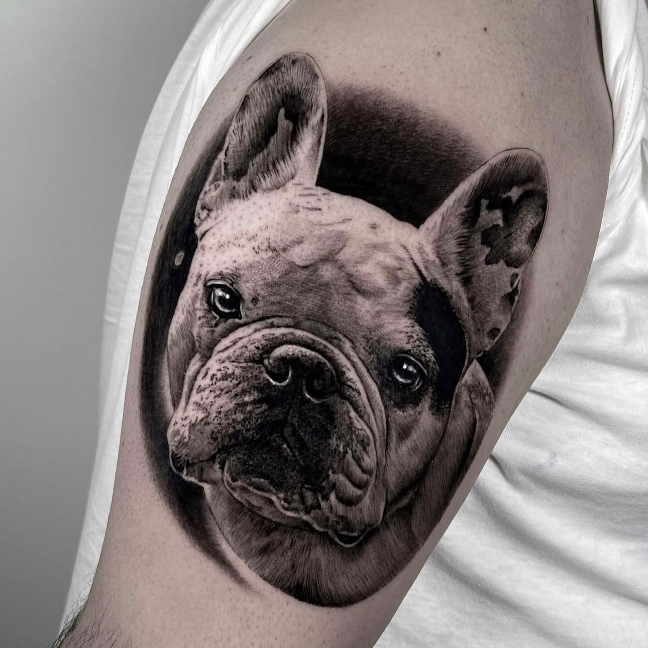 Tatuagem hiper-realista de retrato de bulldog francês com expressão e textura detalhadas no braço, black and grey, homenagem a animal de estimação, na Dilúvio Tattoo em Benfica.