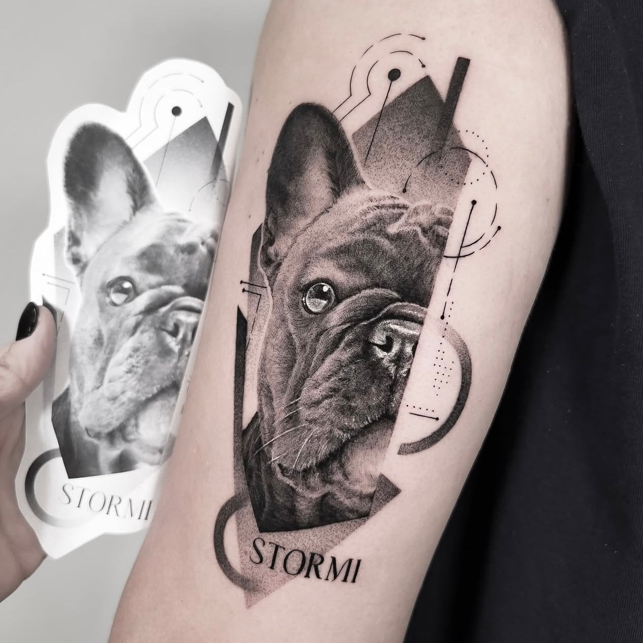 Tatuagem realista de retrato de bulldog francês com nome 