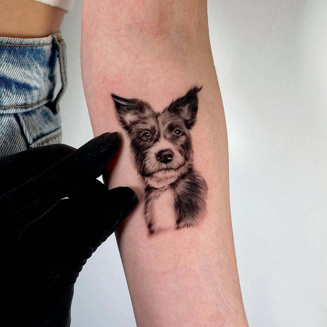 Tatuagem de retrato realista de cão border collie com sombreado detalhado no braço, black and grey, homenagem ao animal de estimação, na Dilúvio Tattoo em Benfica.