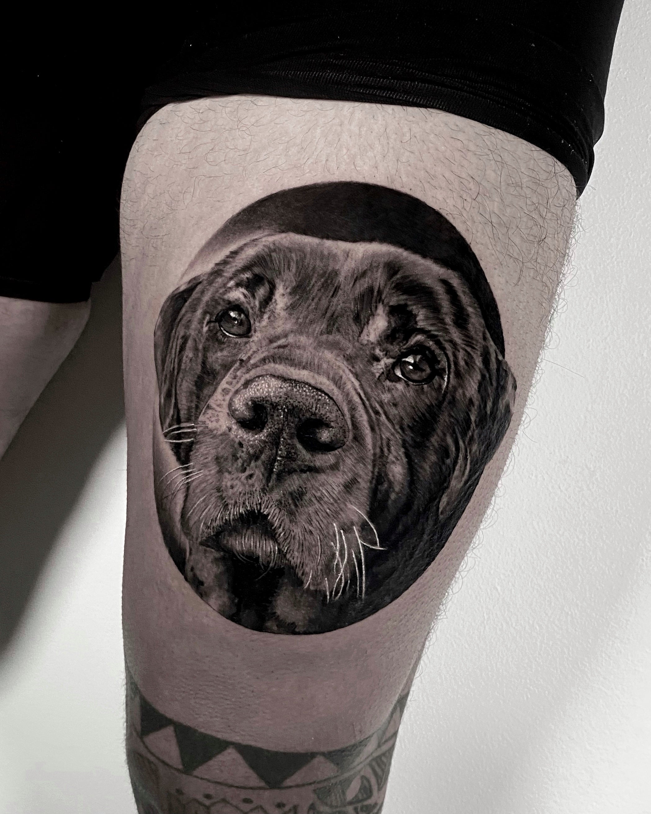 Tatuagem de retrato realista de cão labrador negro com olhos expressivos e pelagem detalhada na coxa, black and grey, homenagem a animal de estimação, na Dilúvio Tattoo em Benfica.