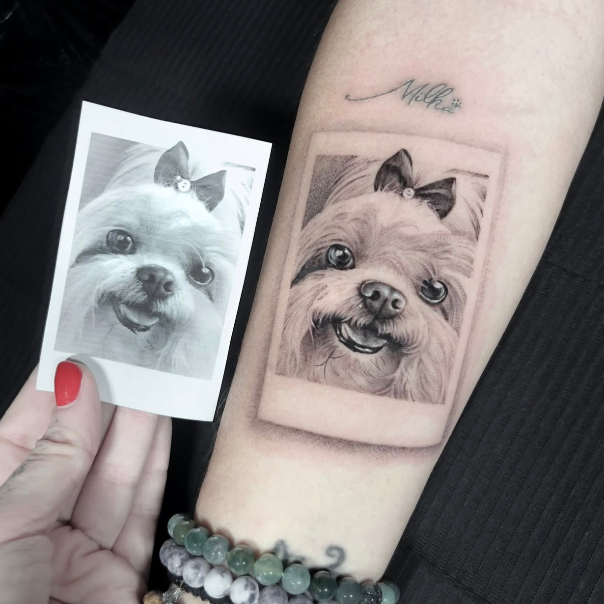 Tatuagem realista de retrato de cão maltês com laço em formato de fotografia polaroid e lettering do nome no antebraço, black and grey a partir de foto de referência, homenagem a animal de estimação, na Dilúvio Tattoo em Benfica.