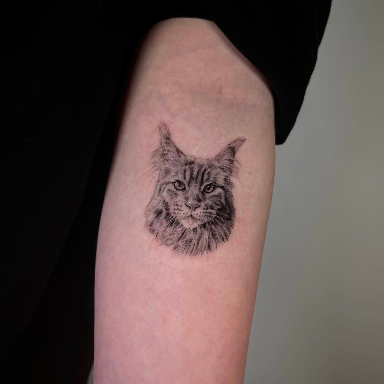Tatuagem micro-realista de retrato de gato maine coon com pelagem detalhada no braço, black and grey, homenagem a animal de estimação, na Dilúvio Tattoo em Benfica.